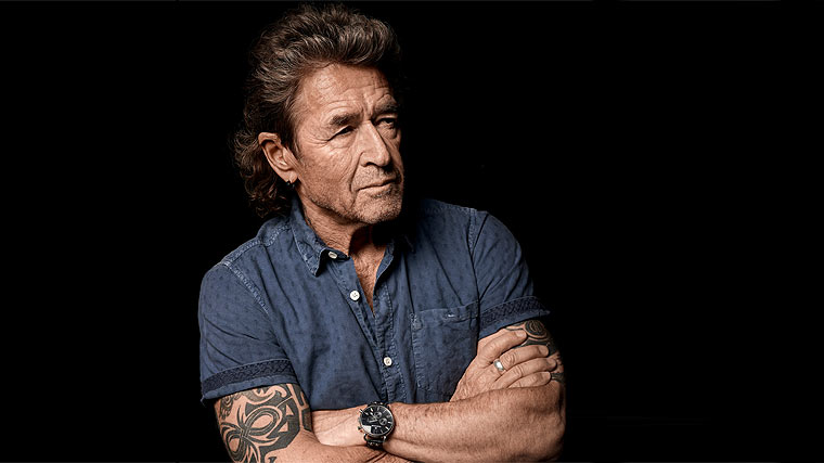 Peter Maffay Net worth