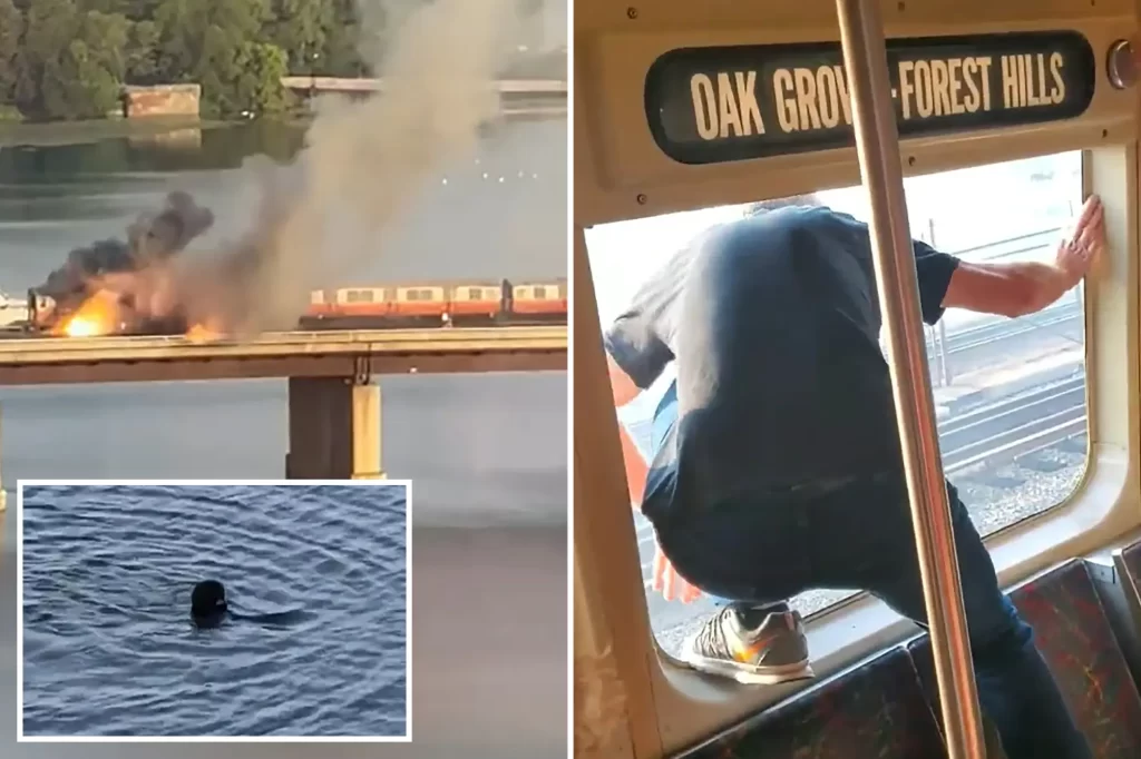 Watch: US train catches fire, passengers leap out of windows, jump into river