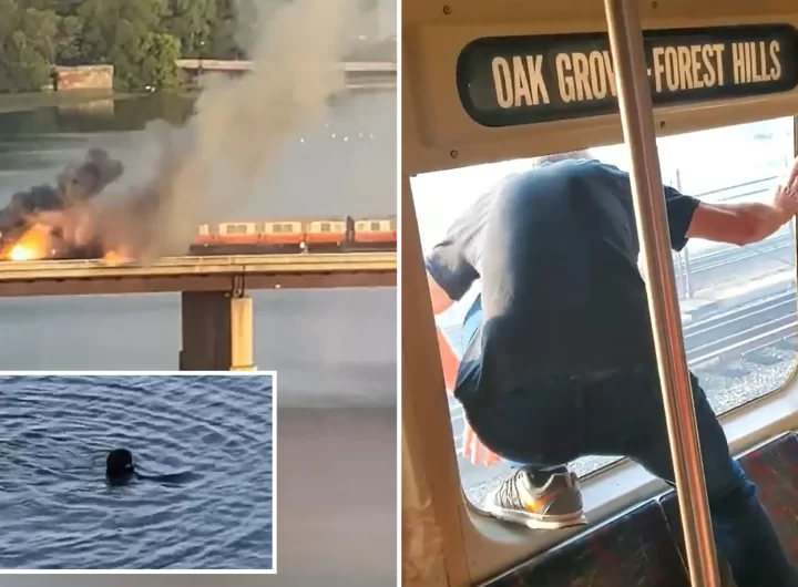 Watch: US train catches fire, passengers leap out of windows, jump into river