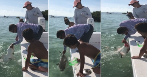 Viral Video Shows Man Bitten By Shark, Internet Surprised By His Calm Reaction