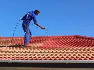 Roof Painting